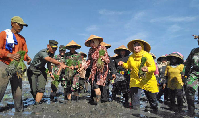 Banun Harpini Pimpin Luas Tambah Tanam 23.905 Hektar di Bekasi